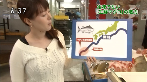 竹中知華　巨乳女子アナのエロキャプ画像まとめ 27