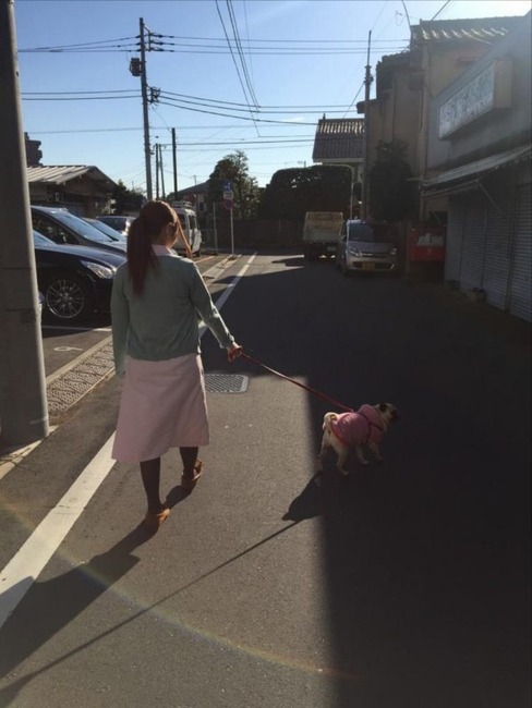 動物病院の看護師さんになった成瀬心美さんが可愛い 3