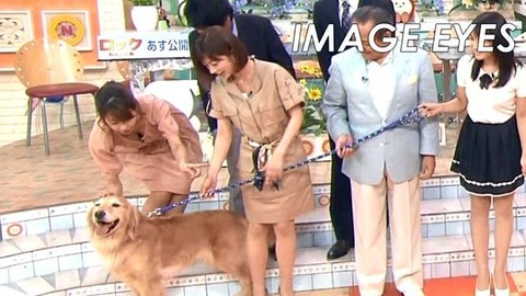 【女子アナエロ画像】カトパンが出演してたら巨乳胸チラチェックする男急増中ｗｗｗｗｗ 5