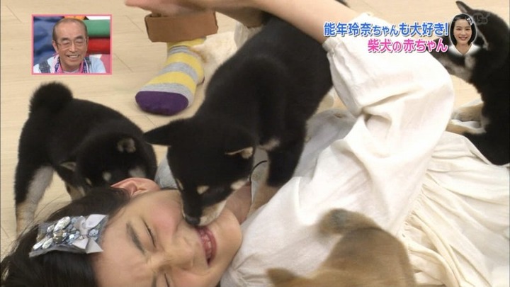 能年玲奈が柴犬の赤ちゃんにペロペロされてるエロ画像　バター犬 24