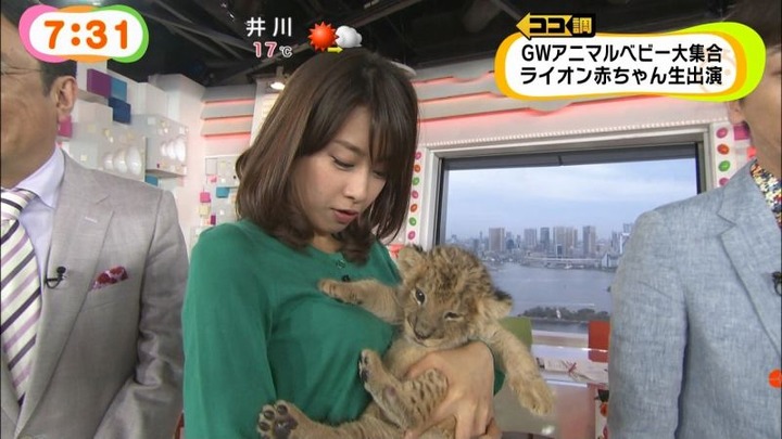 めざましテレビでカトパンの着衣おっぱいがエロい画像30枚 1