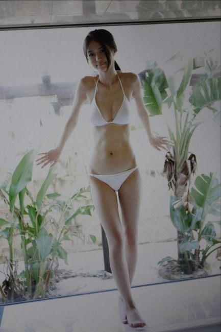 逢沢りな 女優の胸の谷間がエロい画像30枚 23