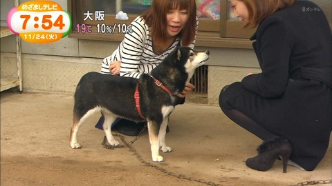【新鮮胸チラ】TVで見る素人さんの胸チラって妙にエロくね？ｗｗｗｗｗ（エロキャプ画像あり） 11