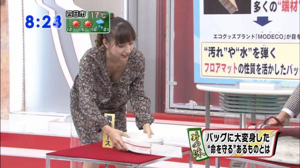 【エロ画像】女子アナで抜いた事あるやつｗｗｗ 20