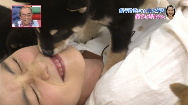能年玲奈が柴犬の赤ちゃんにペロペロされてるエロ画像　バター犬 25