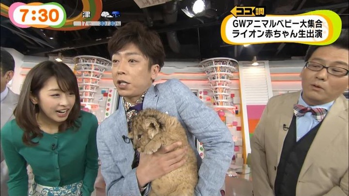 めざましテレビでカトパンの着衣おっぱいがエロい画像30枚 16