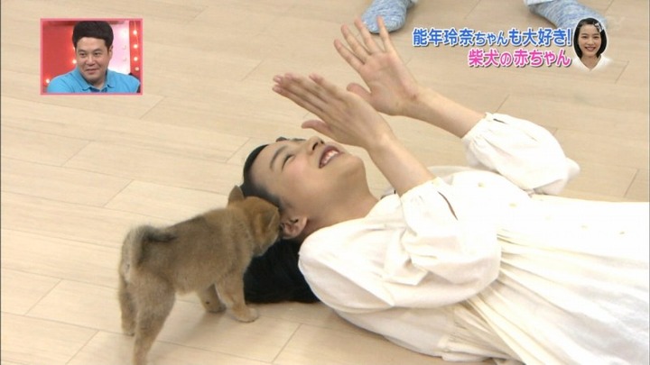 能年玲奈が柴犬の赤ちゃんにペロペロされてるエロ画像　バター犬 3
