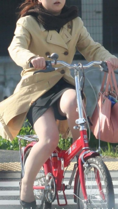 【悲報】ワイ、自転車パンチラ素人娘のせいで自動車事故起こすｗｗｗｗｗｗｗｗ（画像あり） 9