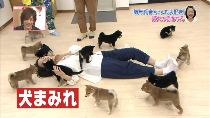 能年玲奈が柴犬の赤ちゃんにペロペロされてるエロ画像　バター犬 8