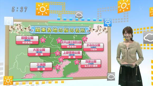 石田紗英子　女子アナウンサーのエロ水着画像 11