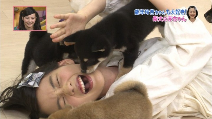 能年玲奈が柴犬の赤ちゃんにペロペロされてるエロ画像　バター犬 27