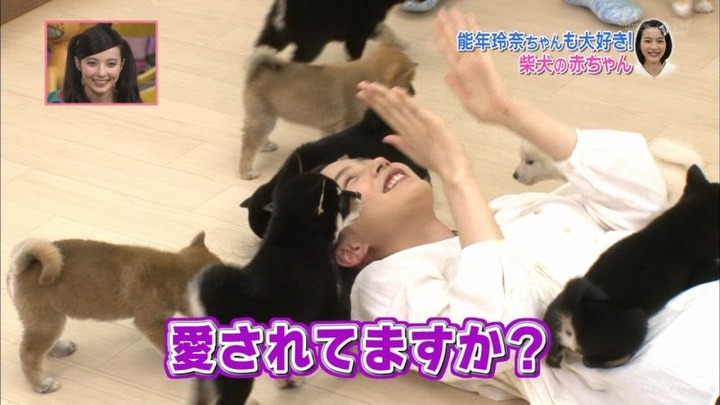 能年玲奈が柴犬の赤ちゃんにペロペロされてるエロ画像　バター犬 17