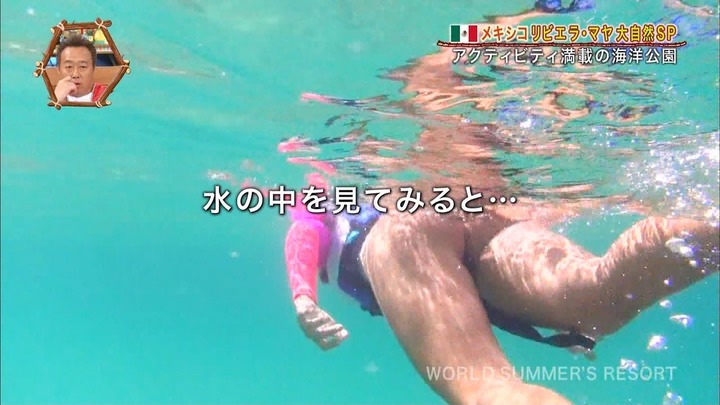 犬かきしてる外国人の尻が抜けるエロ画像 15