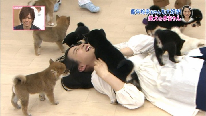能年玲奈が柴犬の赤ちゃんにペロペロされてるエロ画像　バター犬 6