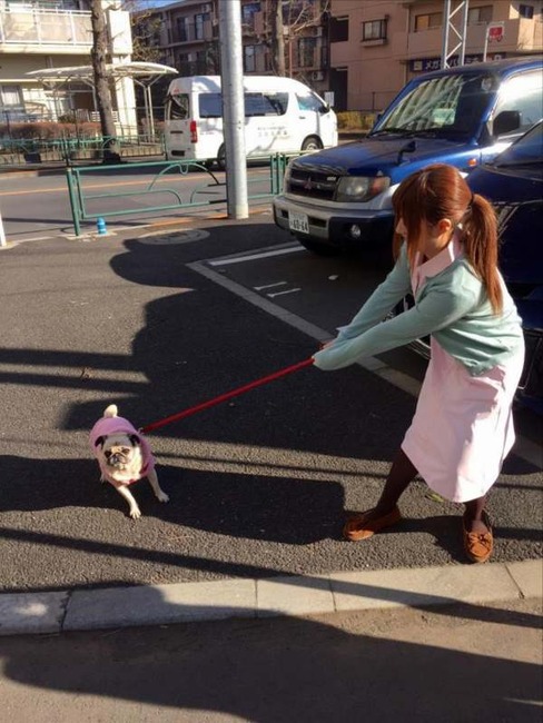 動物病院の看護師さんになった成瀬心美さんが可愛い 2