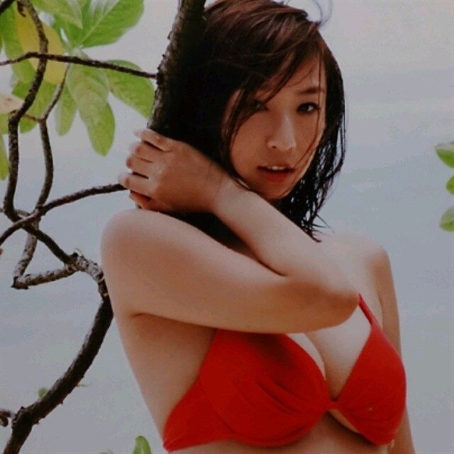 酒井若菜のおっぱいにぶっかけたくなるエロ画像 17