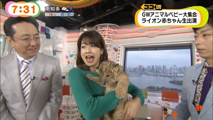 めざましテレビでカトパンの着衣おっぱいがエロい画像30枚 20