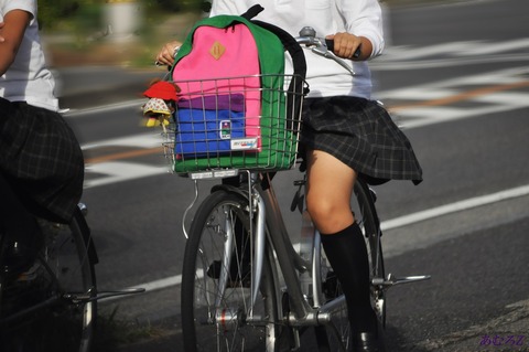 【自転車パンチラJKエロ画像】通学中の世のサラリーマンのムラムラを溜めてる原因はこいつらだｗｗｗｗｗｗ 2