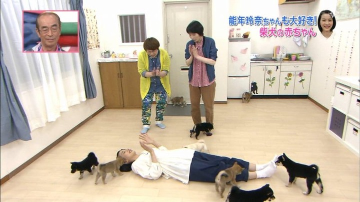 能年玲奈が柴犬の赤ちゃんにペロペロされてるエロ画像　バター犬 2