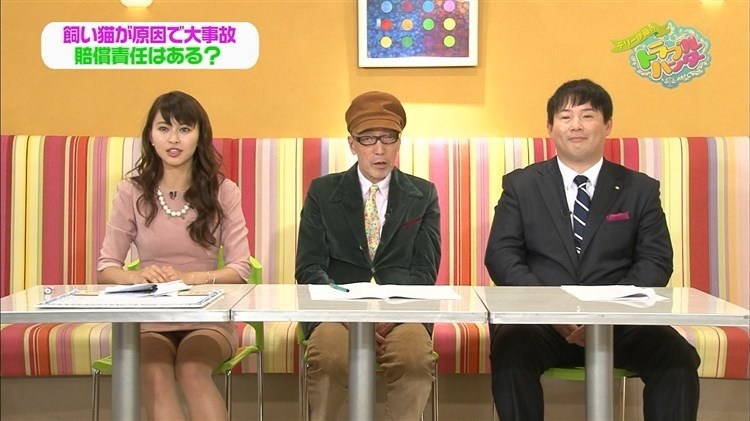 TVでパンチラしまくりなアイドル達のエロキャプ画像 8