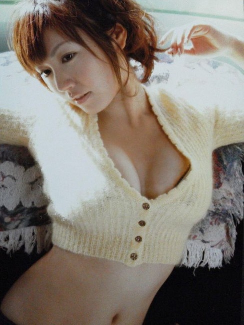 磯山さやかのおっぱいを揉みたくなるエロ画像 11