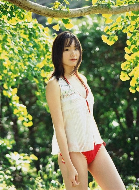 新垣結衣・ガッキーちゃんのエロ水着画像40枚 36