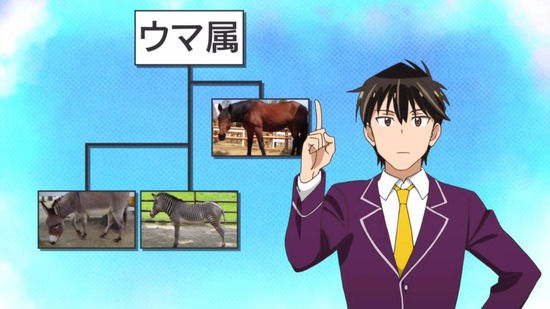 群れなせ!シートン学園 1話番組カット030