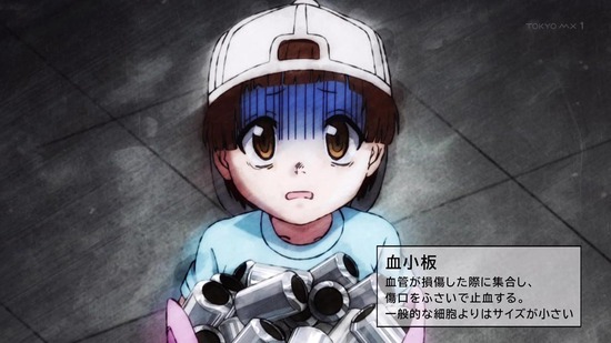 はたらく細胞!! 1話場面カット012