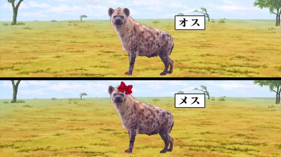 群れなせ!シートン学園 4話場面カット036