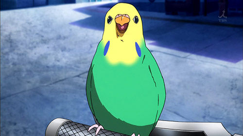 VIVIDRED_047_20130403113545.jpg