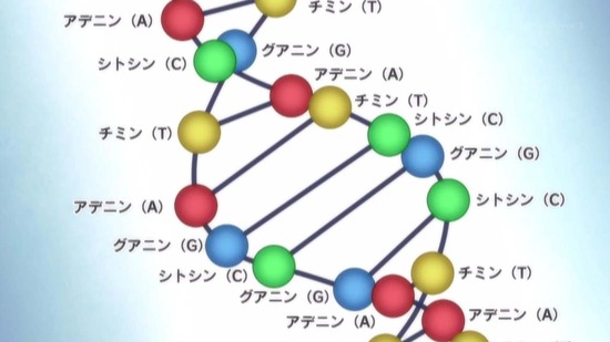 理系が恋に落ちたので証明してみた。 12話場面カット025