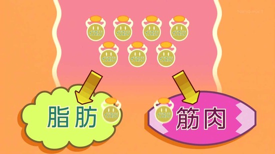 ダンベル何キロ持てる? 3話番組カット023