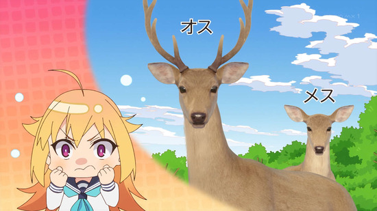 しかのこのこのここしたんたん 1話場面カット008