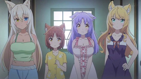 ネコぱら　３話場面カット002