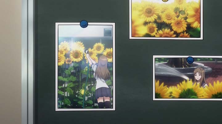 jsdf052.jpg