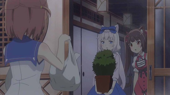 ネコぱら 7話場面カット001