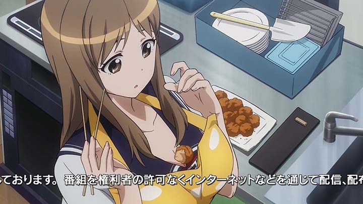 jsdf009.jpg