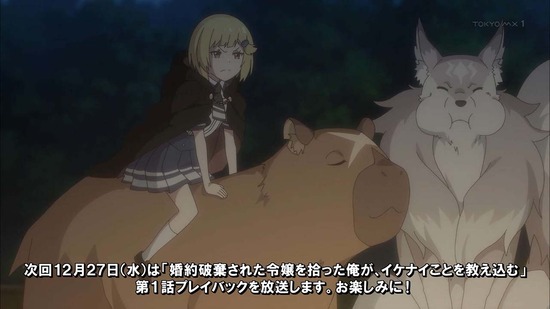 婚約破棄された令嬢を拾った俺　１２話場面カット48