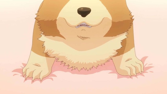 犬になったら好きな人に拾われた。 12話場面カット038
