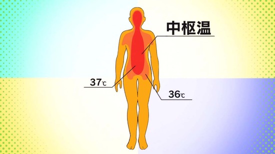 理系が恋に落ちたので証明してみた。　５話場面カット030