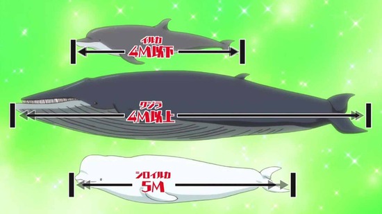 群れなせ!シートン学園 8話場面カット008