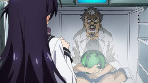 VIVIDRED_006_20130223143335.jpg