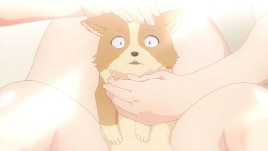 犬になったら好きな人に拾われた。 1話場面カット021