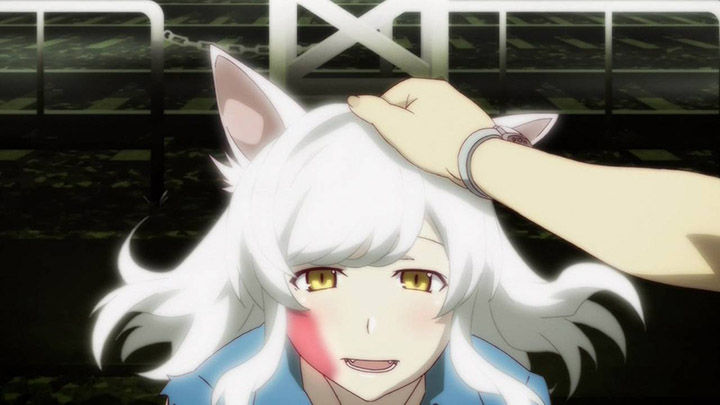 <物語>シリーズ セカンドシーズン(猫物語(白)) 第5話