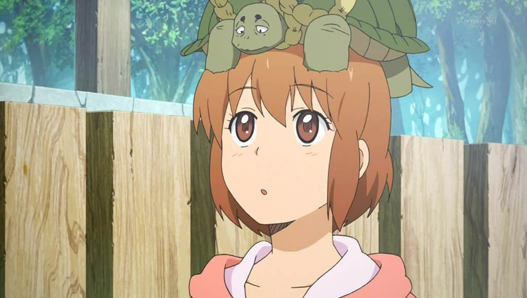 6fxwdfgsa033.jpg
