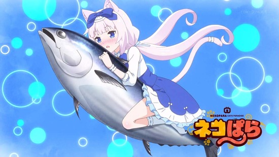 ネコぱら 2話場面カット_025