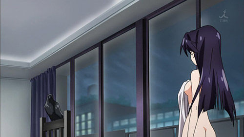 VIVIDRED_009_20130318161657.jpg