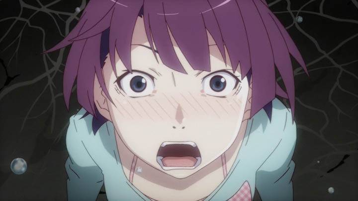 2ddnw036.jpg