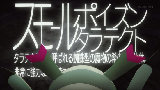 蜘蛛ですが、なにか？　５話 場面カット003