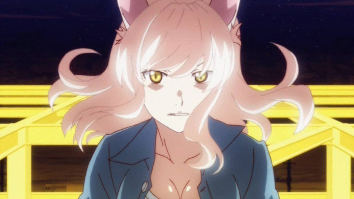 <物語>シリーズ セカンドシーズン(猫物語(白)) 第5話